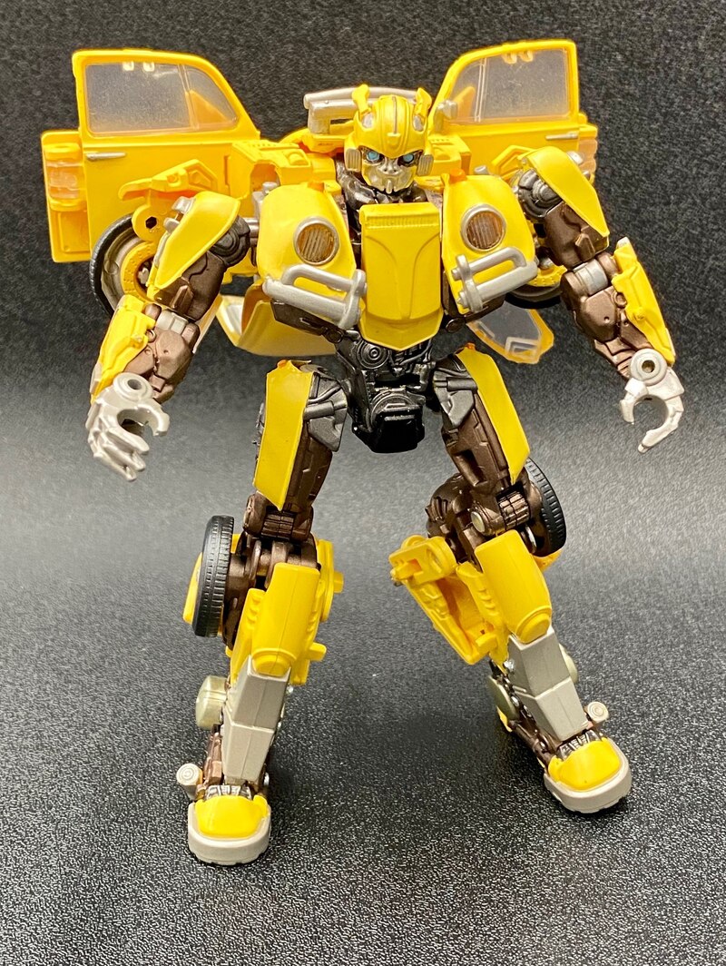 premium bumblebee